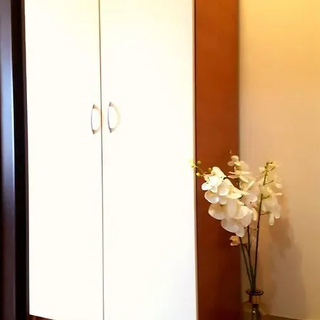 Family Solar 酒店 *